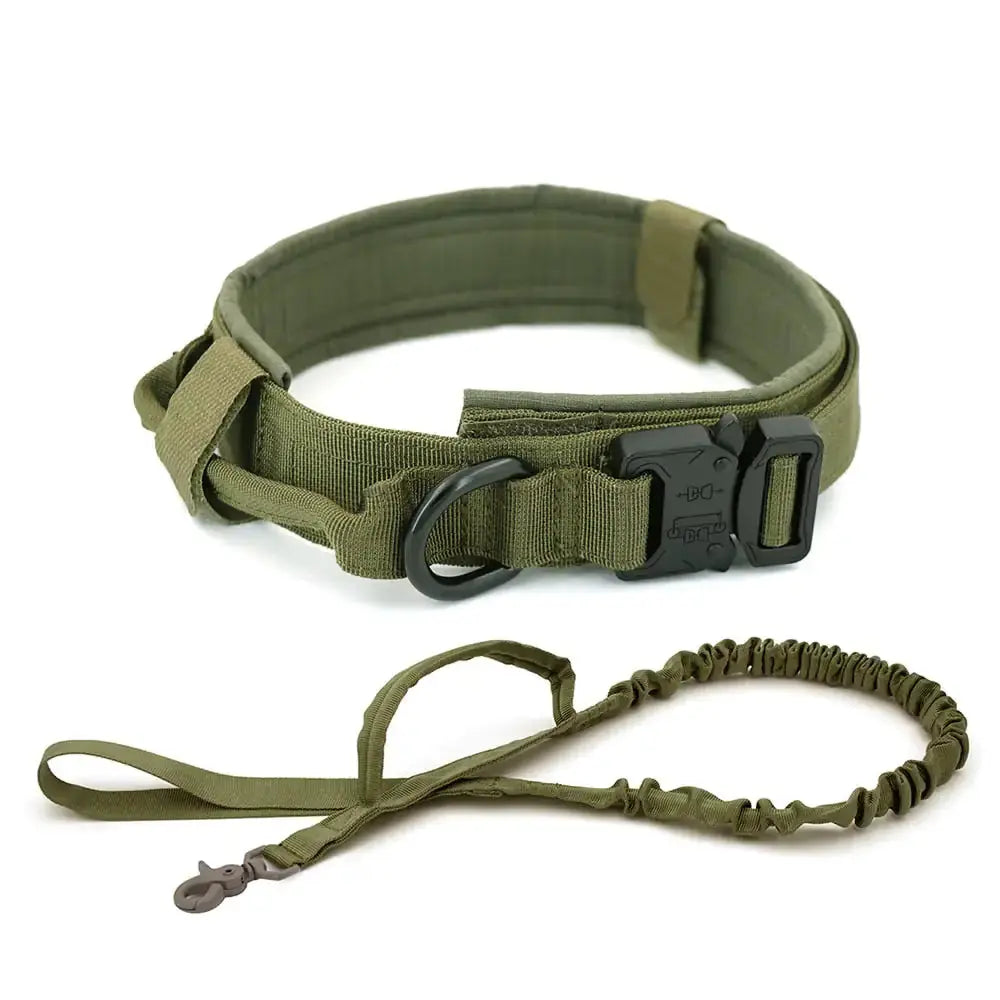 Dog Collar My Store