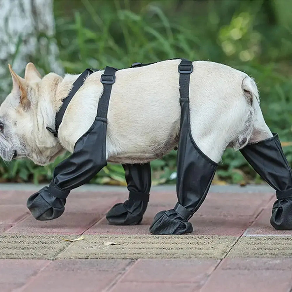 Anti-Slip Dog Shoes My Store