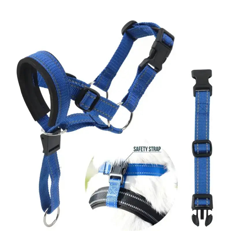 Training Collar My Store