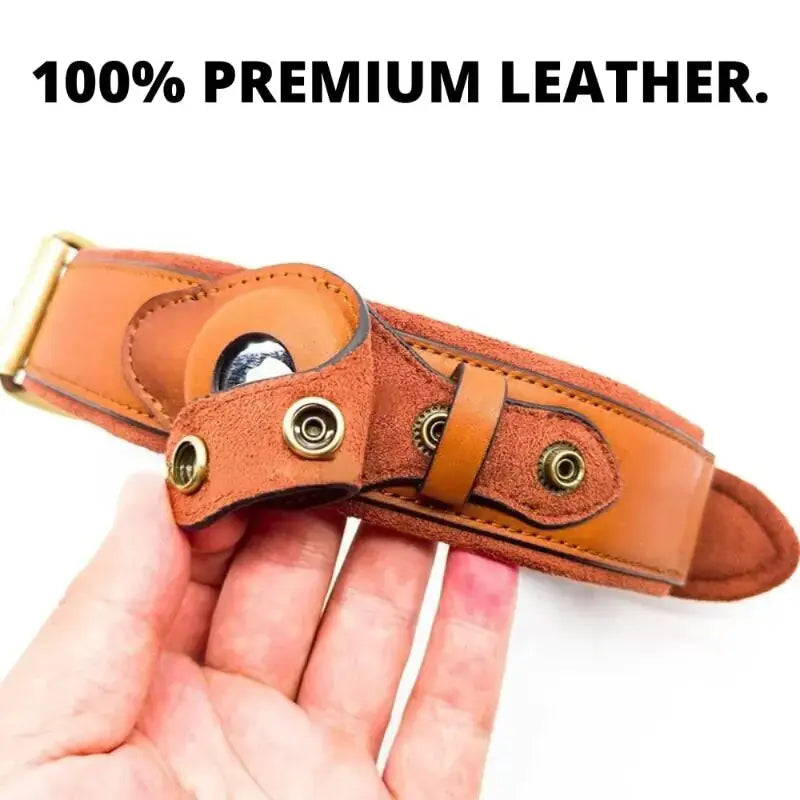 Leather Anti-Lost Dog Collar My Store