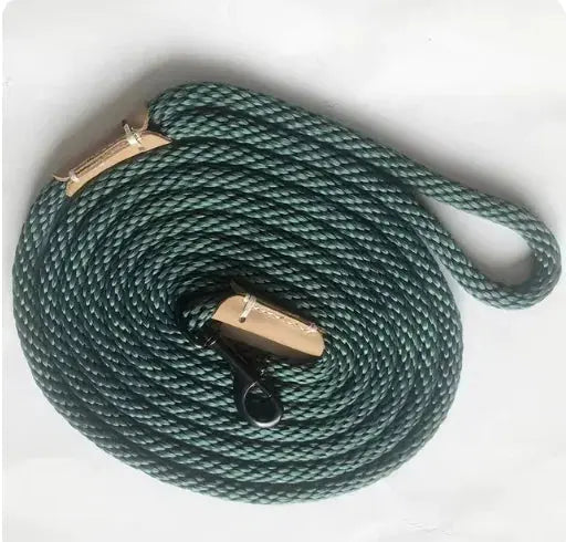 Adjustable Lead Leash My Store