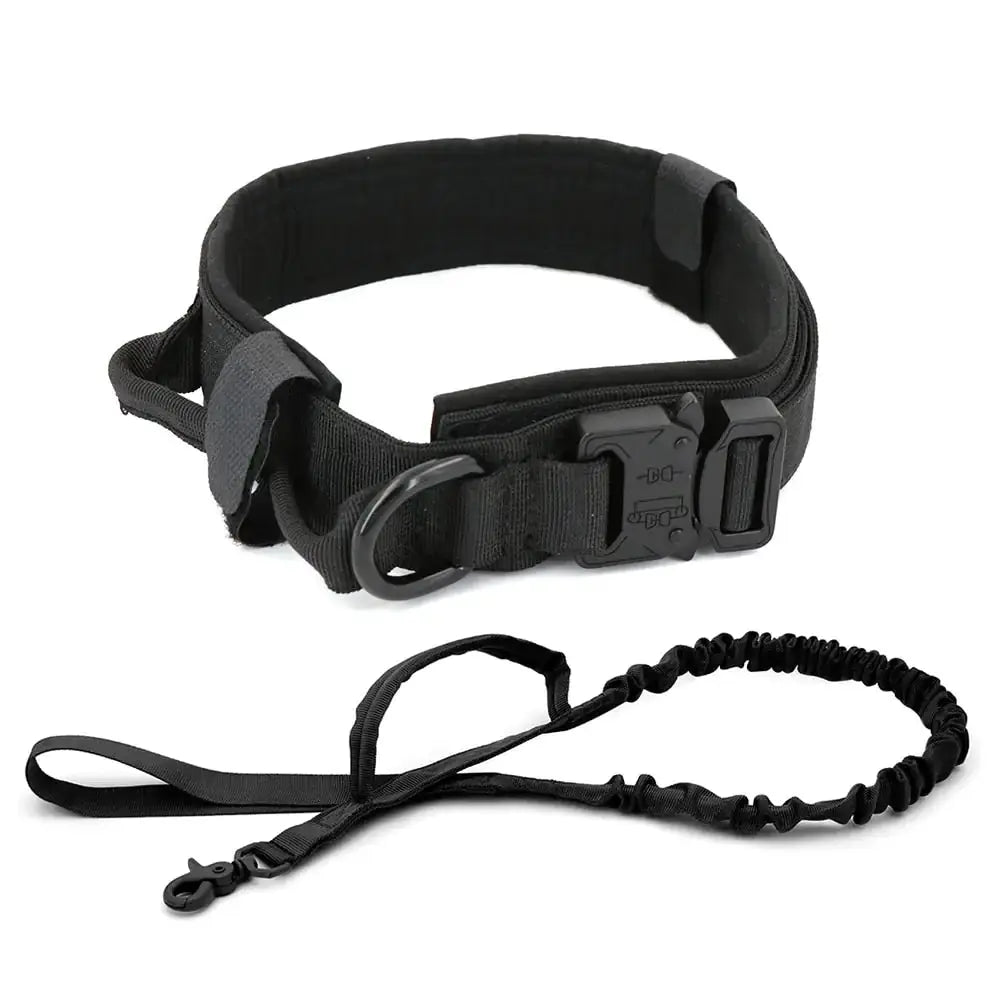 Dog Collar My Store
