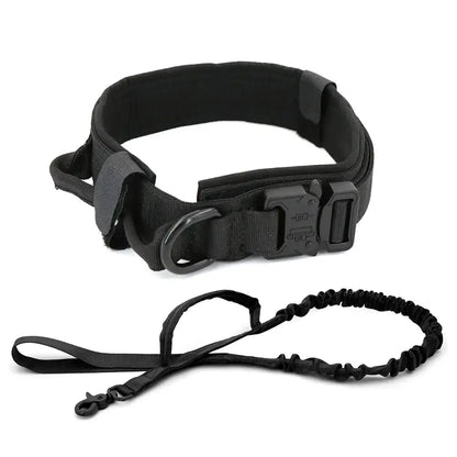 Dog Collar My Store