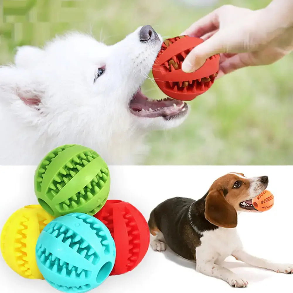 Interactive Toy Balls My Store