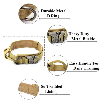 Dog Collar My Store